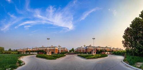 濮阳都市爆料事件最新,揭秘背后惊人真相，事件最新进展曝光  第3张