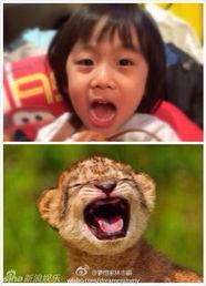 羊仔爆料花絮大全最新视频,最新视频精彩瞬间大揭秘  第3张