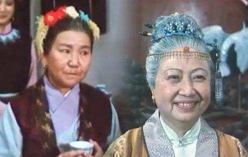 刘姥姥的爆料视频播放,娱乐圈幕后真相大曝光  第3张