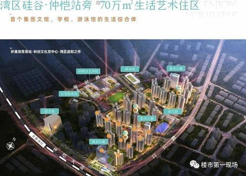 惠州新闻爆料地址,揭秘某神秘地址背后的故事  第3张