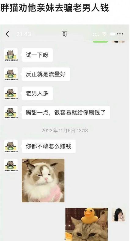 胖猫爆料直播回放视频,回放视频中的精彩瞬间与幕后故事  第3张