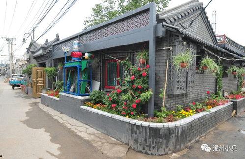 5月高招s忍2025爆料最新,揭秘忍者界新势力崛起