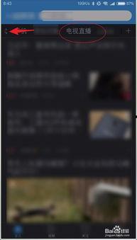 东方在线 观看,探索东方文化的魅力之旅  第2张