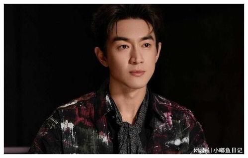 爆料娱乐圈 林更新,揭秘明星幕后故事  第3张