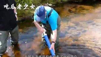 娱乐吃瓜老少女  第2张