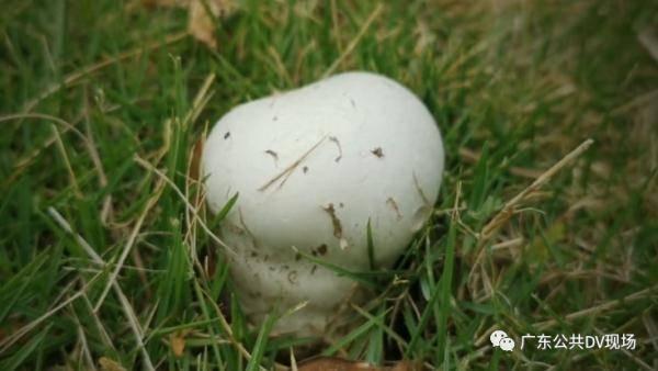 娱乐吃瓜酱买房送女朋友,甜蜜送女友惊喜大礼 第3张 娱乐吃瓜酱买房送女朋友,甜蜜送女友惊喜大礼 第3张