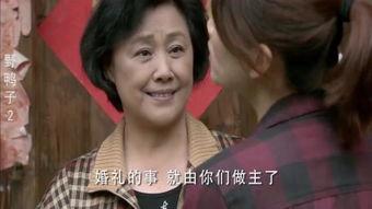 野鸭子第二部全集在线观看,感人至深的亲情与成长之旅  第3张