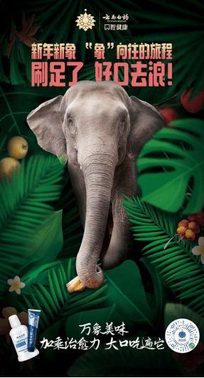 2022娱乐圈吃瓜乱象,揭秘吃瓜乱象背后的真相与反思  第2张